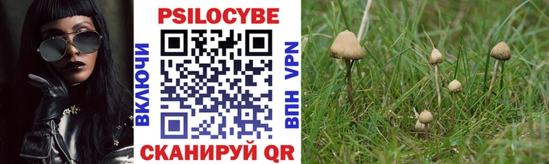 хочу наркоту  Хотьково  Псилоцибиновые грибы Magic Shrooms 