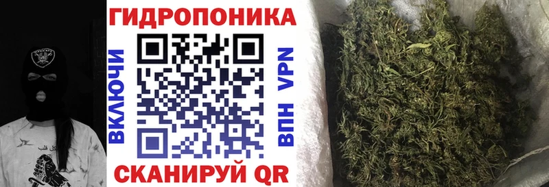 площадка состав  Хотьково  Шишки марихуана ГИДРОПОН  omg как зайти 